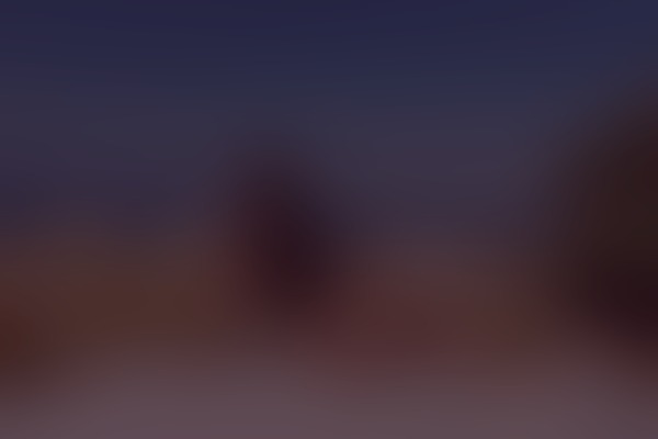 Anitta leitte